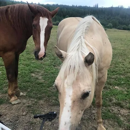 Gazdovsky Dvor Peter Jurky 아파트