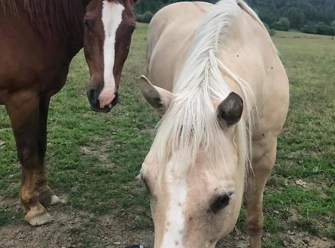 Gazdovsky Dvor Peter Jurky Apartament